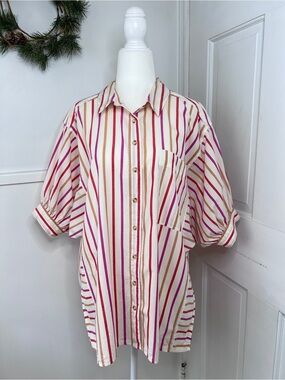Anthropologie Pilcro Painter Buttondown Pink & White Striped Shirt